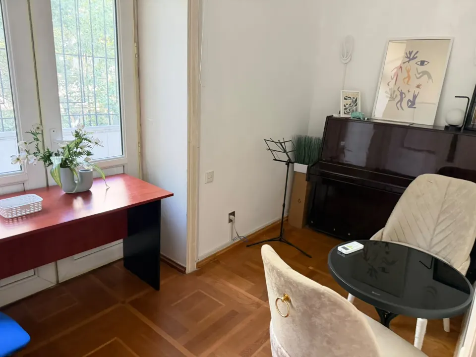Piano room (S1) at Psy Booking, Baku — photo 2