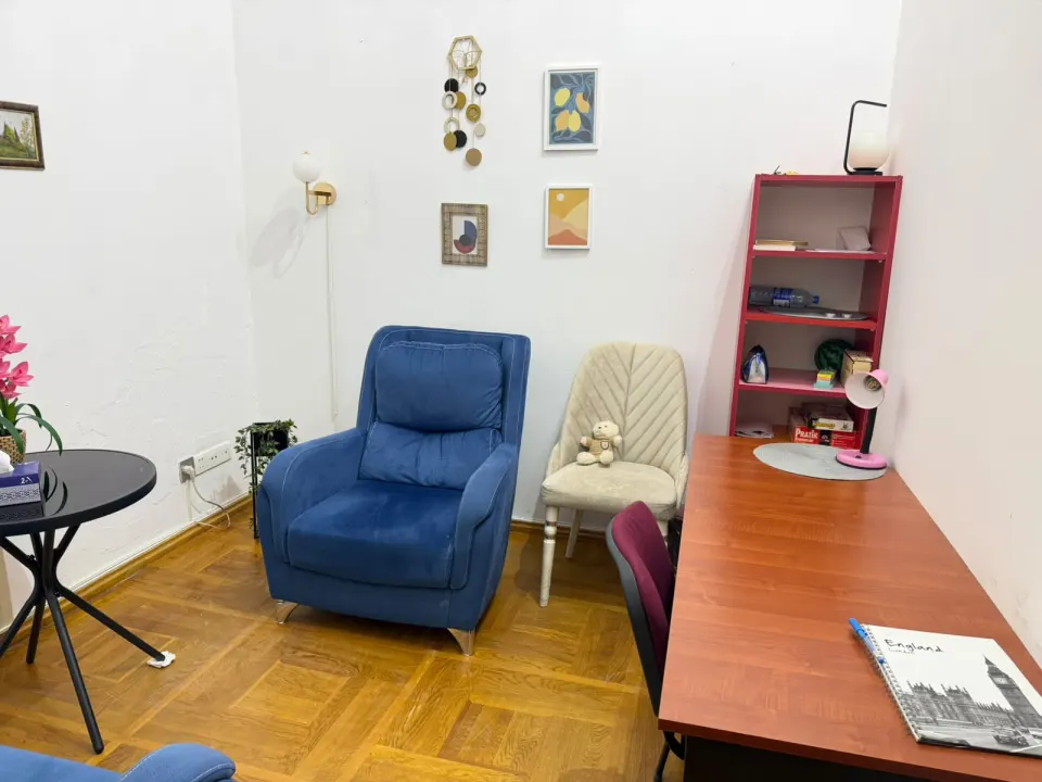 Göy kreslolu kabinet (S2), Psy Booking, Bakı — foto 3