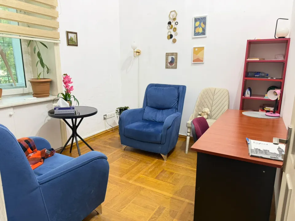 Göy kreslolu kabinet (S2), Psy Booking, Bakı — foto 5